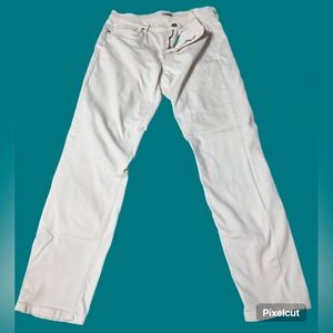 Women's LOFT Jean